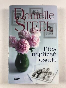 Danielle Steel: Přes nepřízeň osudu