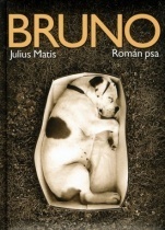 Bruno-román psa